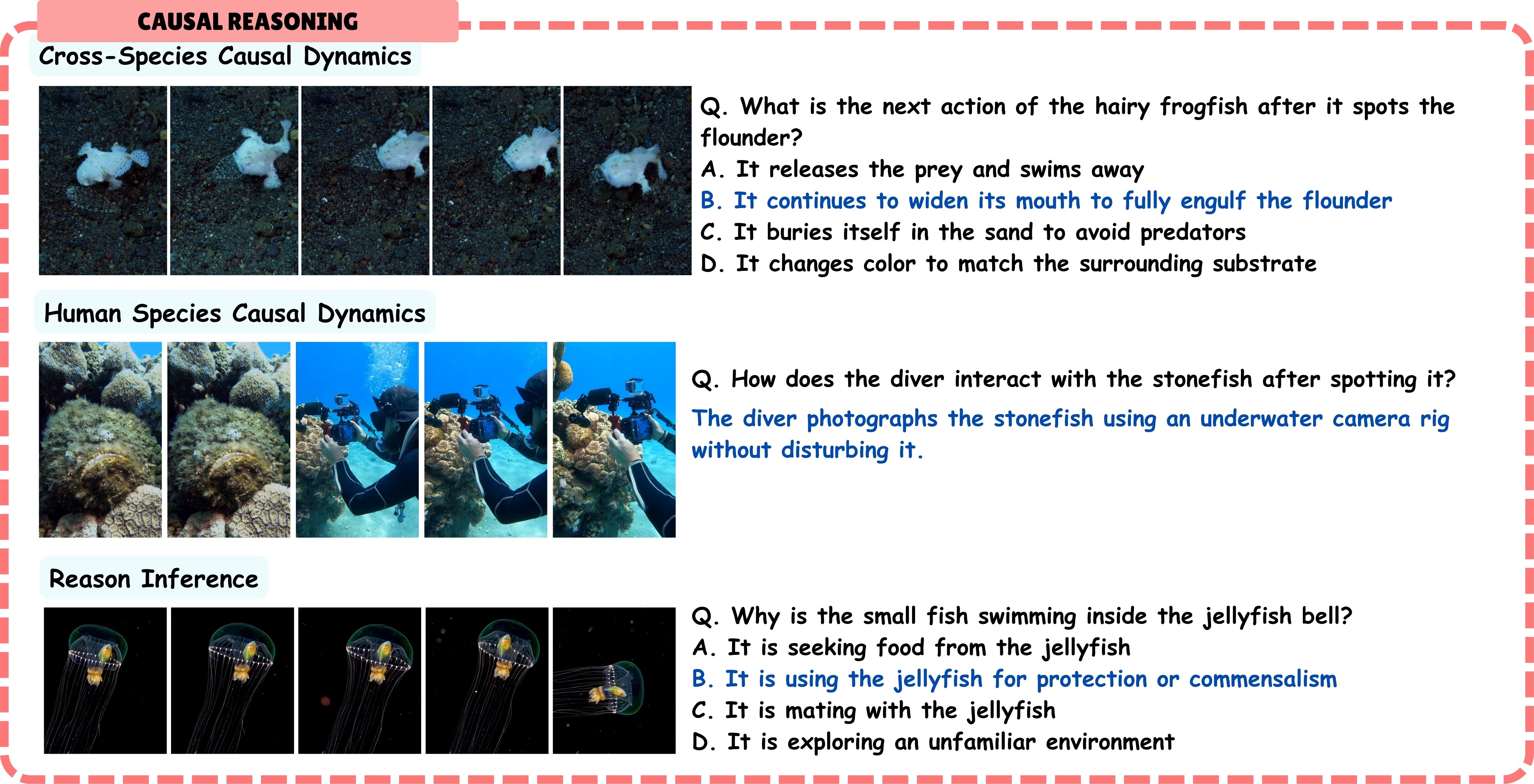 Example 5