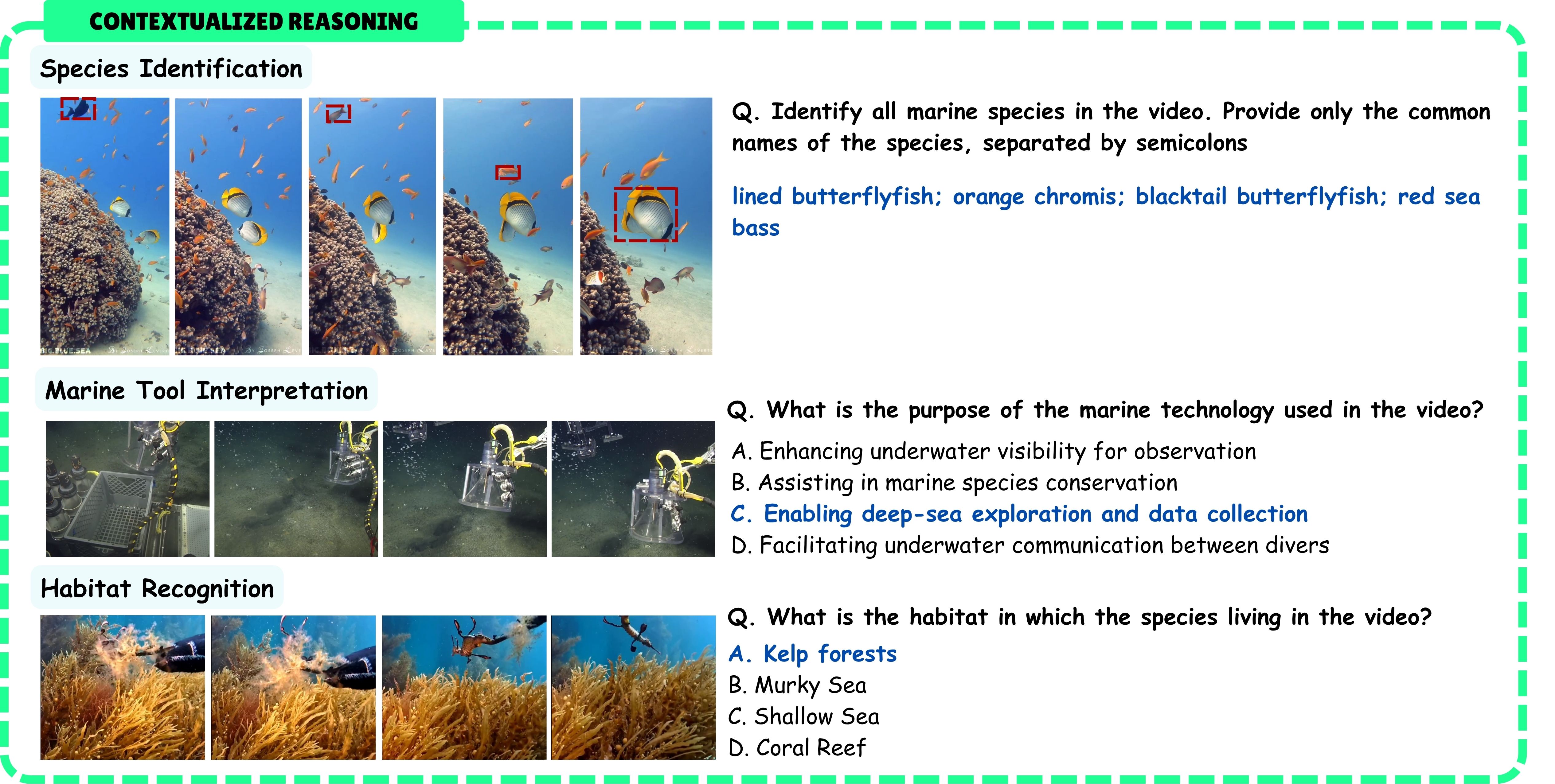 Example 2